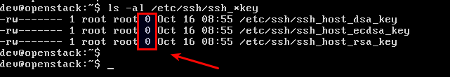 fout kon hostsleutel /etc/ssh/ssh_host_dsa_key niet laden