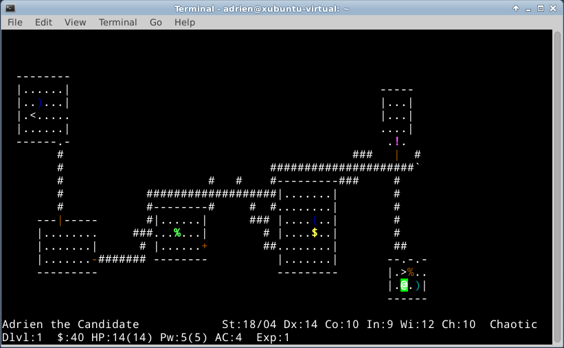 Консольная текстовая игра. Лучшие консольные игры Linux. NETHACK игра. Текстовая игра в консоли. Игры в терминале линукс.